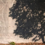 Tree shadow (Dekalb Ave, Atlanta GA)