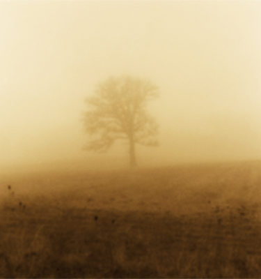 Foggy Day #2 (ttv photo) by Jodi Hersh