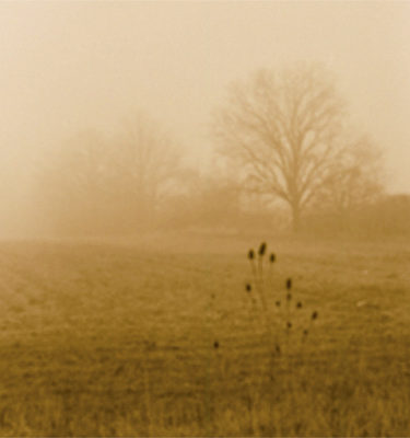 Foggy Day #1 (ttv photo) by Jodi Hersh